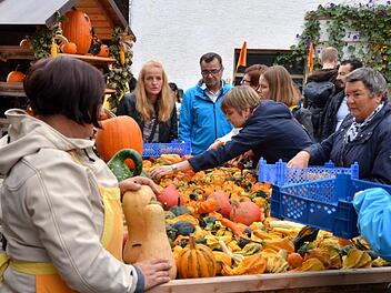 Kürbisse in allen Größen und Formen zogen das Interesse der  Besucher auf sich. Fotos: Andrea Spörlein