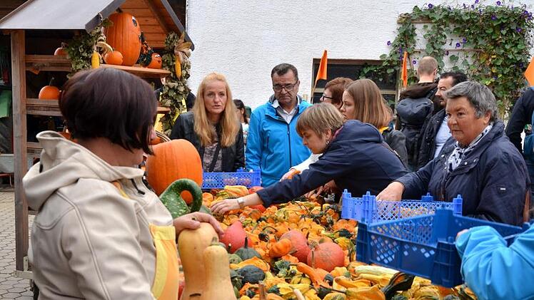 Kürbisse in allen Größen und Formen zogen das Interesse der  Besucher auf sich. Fotos: Andrea Spörlein