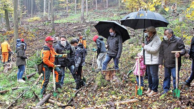 Forstarbeiter Rainer Uri erklärt den Schülern, wie sie mit den jungen Pflanzen umgehen sollen. Bäckermeister Maximilian Ley (mit weißer Maske) hat die Idee ins Leben gerufen. Im Bild von rechts : Gerhard und Christine Ley, sowie Bürgermeister Johannes Krapp. Fotos: Evi Seeger