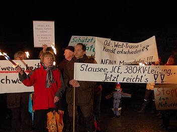 Bürger aus Weißenbrunn und anderen Stadtteilen Rödentals demonstrieren gegen die 380 kV-Leitung. Fotos: Rainer Lutz