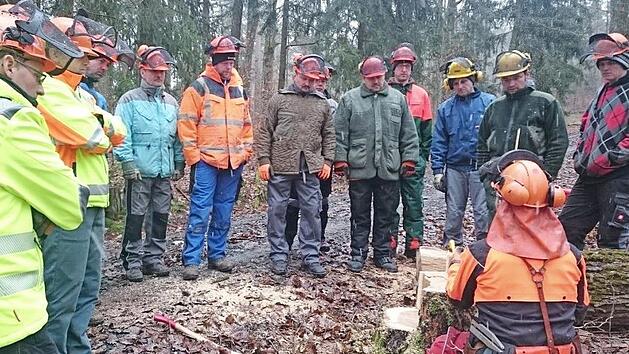 Nach der Baumf&auml;llung im Praxisteil des Seilwindenkurses wurde der geschnittene Stock beurteilt. Foto: Anna Seidenzahl/FBG Ha&szlig;berge