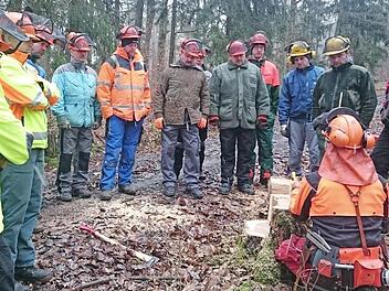 Nach der Baumf&auml;llung im Praxisteil des Seilwindenkurses wurde der geschnittene Stock beurteilt. Foto: Anna Seidenzahl/FBG Ha&szlig;berge