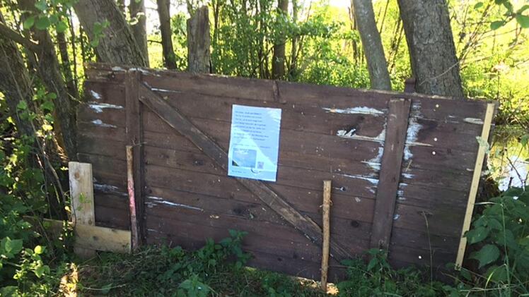 Auch trotz der alten Holztorabsperrung findet der Biber nach wie vor zum Rapsfeld. Foto: Wilfried Roppelt