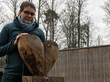 Der Aufbau des Baumwipfelpfades oberhalb von Ebrach war für Miriam Langenbucher Herzensangelegenheit. Foto: Anette Schreiber