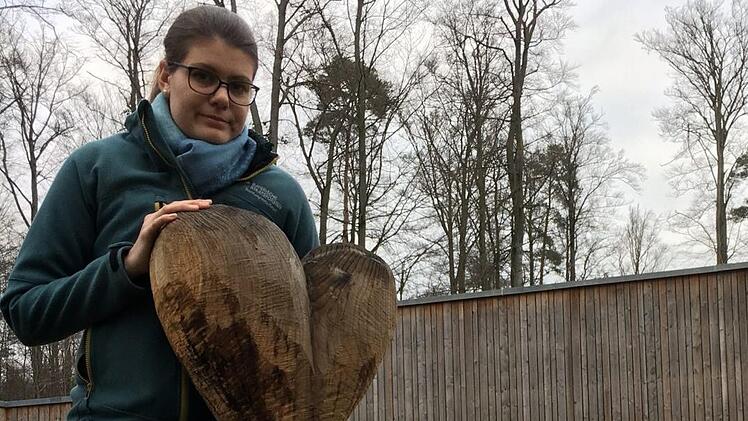 Der Aufbau des Baumwipfelpfades oberhalb von Ebrach war für Miriam Langenbucher Herzensangelegenheit. Foto: Anette Schreiber