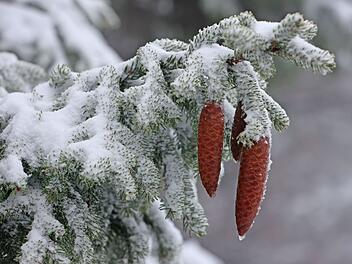 Wintereinbruch