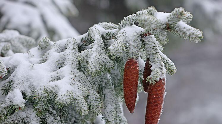 Wintereinbruch