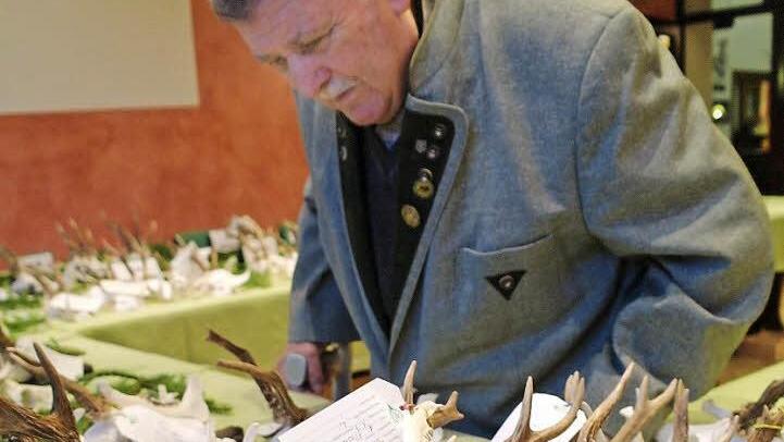 Karl Oswald begutachtet bei der Hegeschau Trophäen.Fotos: Stephanie Elm