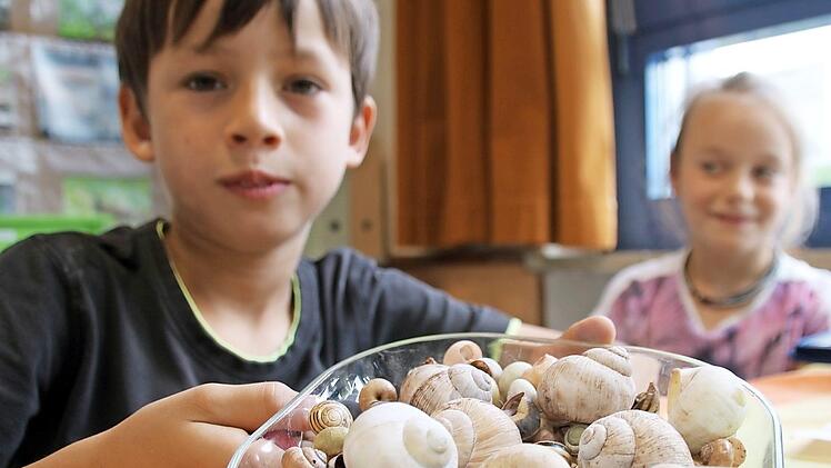 "Wie viele Schneckenhäuser sind das?", will Lorenz wissen. Foto: Kathrin Kupka-Hahn