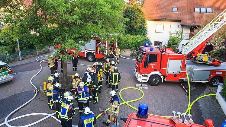 Foto: News5/Merzbach