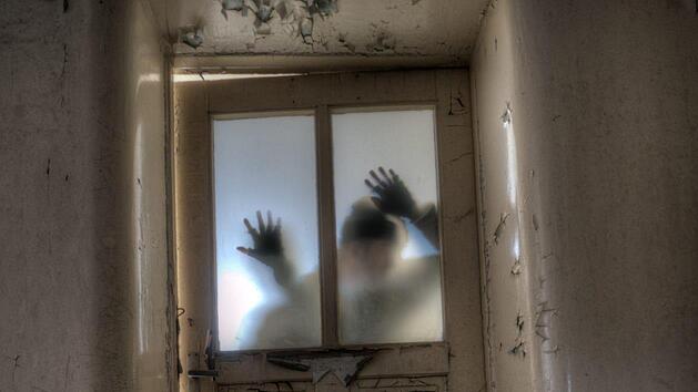 Mal wieder richtig Lust auf Grusel? Dann ist unsere Auswahl mit den besten Horrorfilmen genau das Richtige. Symbolfoto: unsplash.com/Nathan Wright