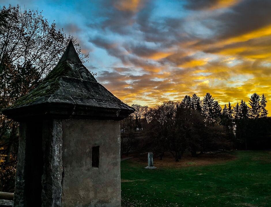 Die schönsten Fotos im November aus Forchheim und Umgebung