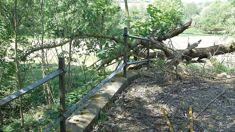 Seit Juli 2016 ist die Baille-Maille-Brücke gesperrt. Das soll sich ändern, bis zum nächsten Frühjahr soll das neue Geländer stehen.Peter Müller
