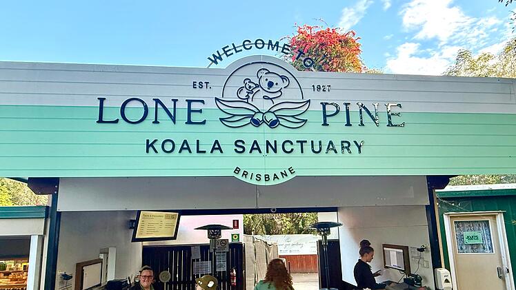 Koala-Schutzzentrum in Brisbane