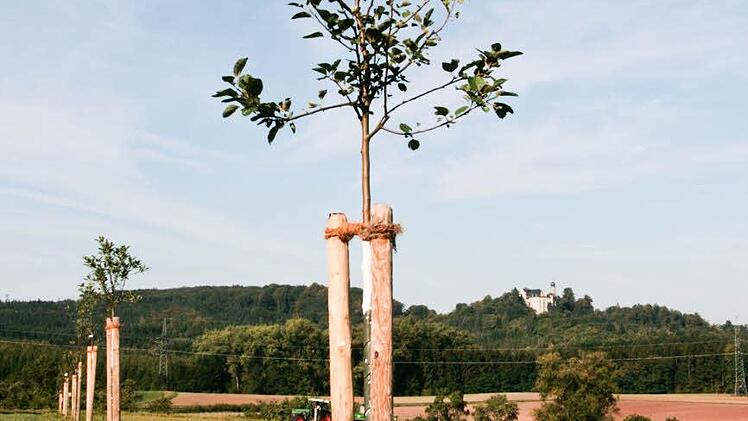 Vorbild für das Neuhauser Vorhaben ist der Regenbogenwald in Coburg.   Foto: CT-Archiv