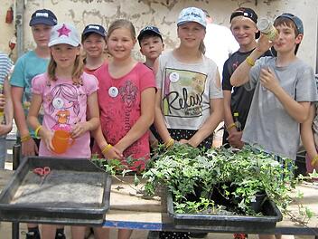 Viele H&auml;nde halfen beim Einpflanzen der Stecklinge. Foto: privat