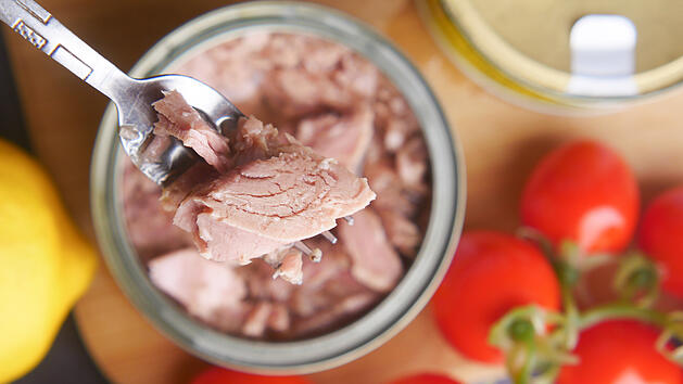Thunfisch, Thunfischdose, &Ouml;ko-Test