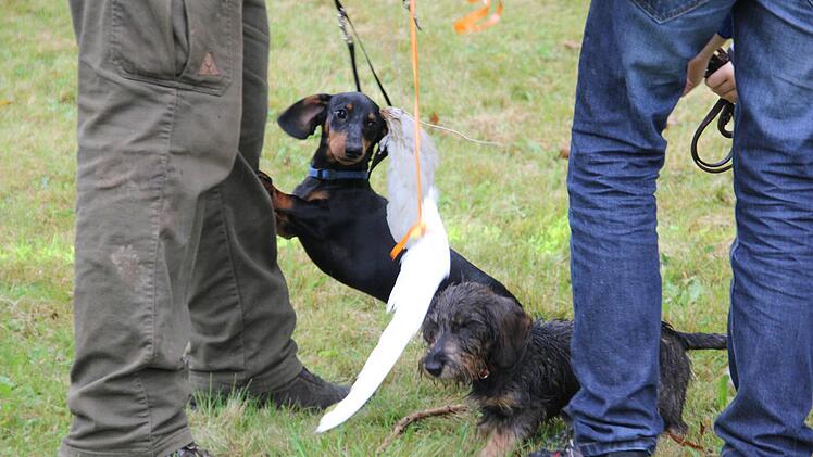 Foto: Mariell Dörrschmidt