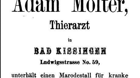 Finanziert werden Adressbücher damals wie heute durch Inserate. Sie geben Einblick in die Geschäftswelt. Tierarzt Adamen Mölter (oben) in der Ludwigstrasse unterhielt einen Marodestall für kranke Pferde. Messchmied Matthäus Fuss (unten) empfhal seine Messer aller Art. Quelle: Google-Books/Repro: Britz