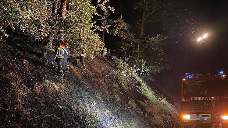Waldbrand in Pflochsbach
