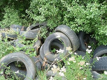 Jede Menge Reifen wurden an den Waldrand gekippt. Foto: Heike Beudert