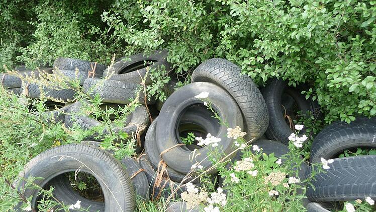 Jede Menge Reifen wurden an den Waldrand gekippt. Foto: Heike Beudert