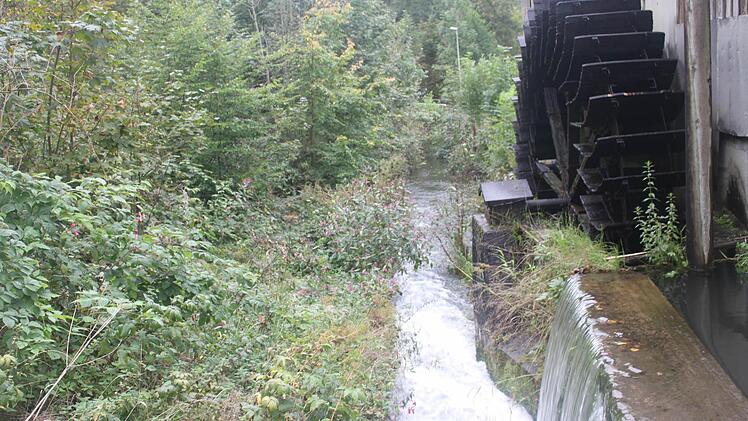 Foto: Veronika Schadeck