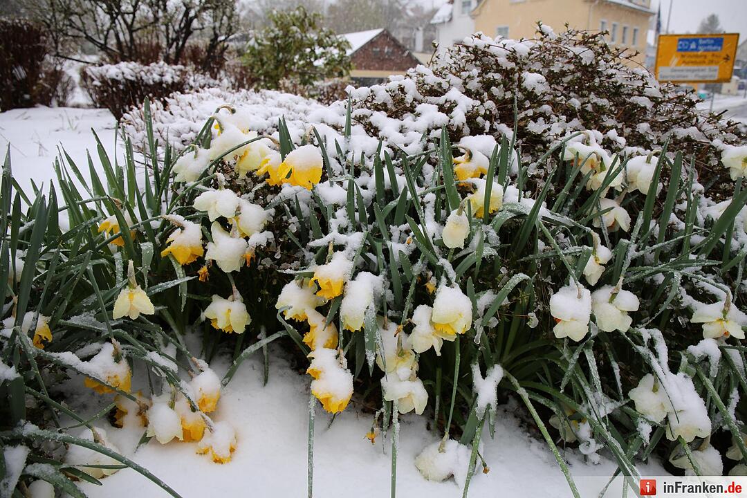 Winter im April 2016 in Franken