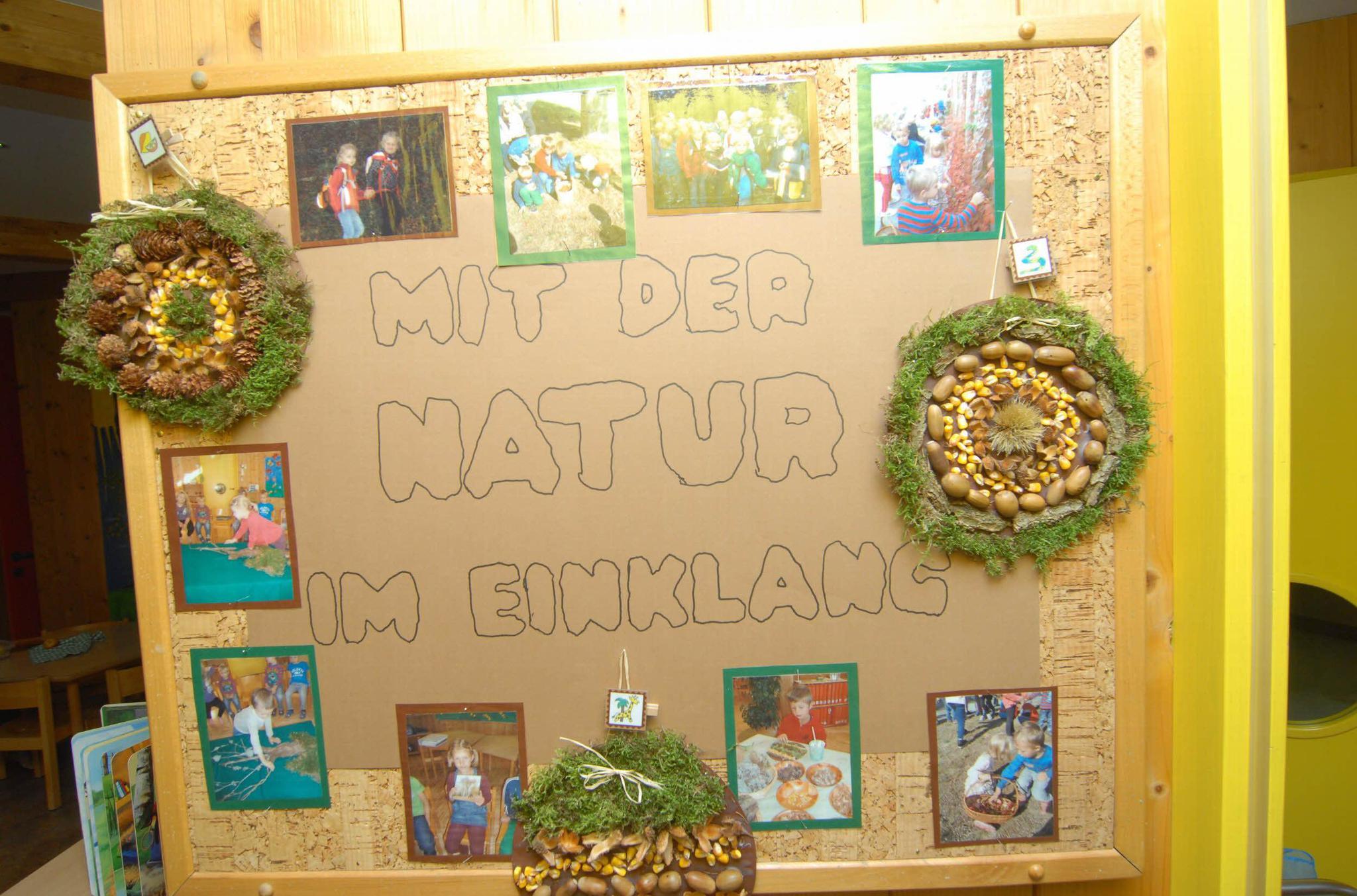 Der Wald als Thema in Kindergärten