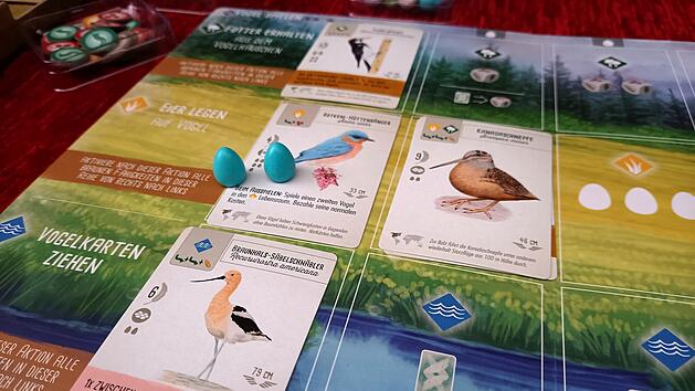 Spiele-Test "Flügelschlag": So genial ist das Kennerspiel des Jahres 2019
