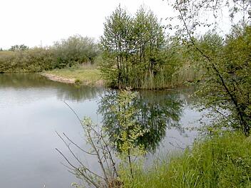 Das Wasser des Sander Baggersees ist zum Baden geeignet. Foto: FT-Archiv