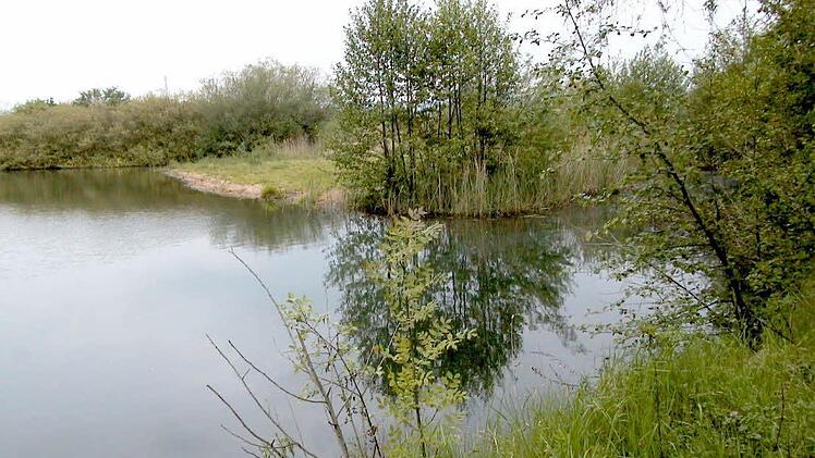 Das Wasser des Sander Baggersees ist zum Baden geeignet. Foto: FT-Archiv