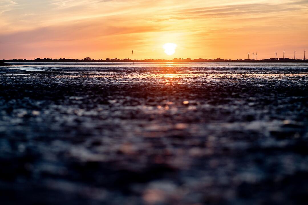 Watt en Schlick Festival - Sonnenuntergang in Dangast