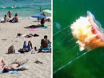 Mallorca: vermehrte Sichtung von Quallen