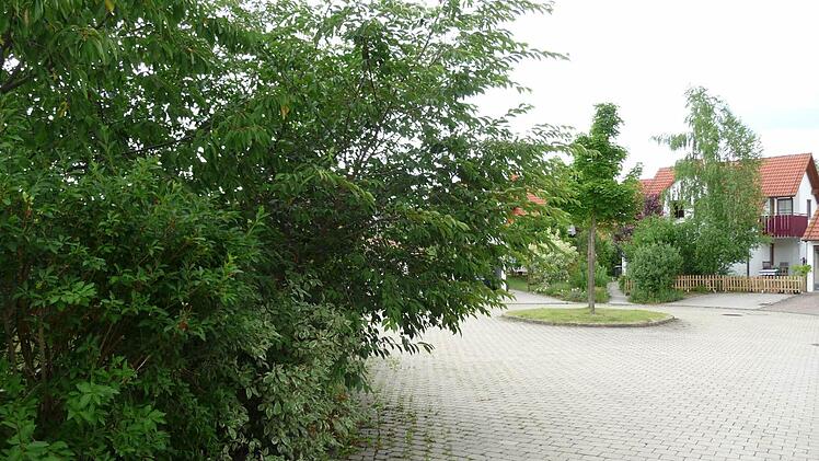 Diese Hecke ragt weit in den Straßenraum. Das sollte sie nicht - und die Grundstückseigentümer sind verpflichtet, dafür zu sorgen, dass keine Äste überhängen und den Verkehr beeinträchtigen.