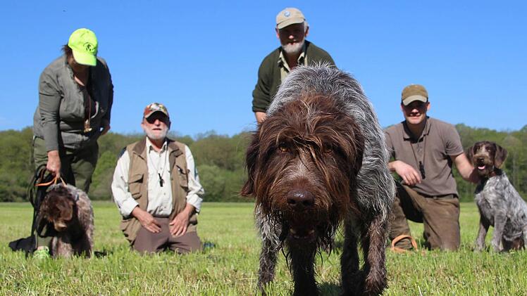Theo geht voran, Ari und Alva warten brav im Hintergrund mit den Hundebesitzern Annette Ziegler, Norbert Marhofer, Erwin Delepine und Alexander Näck.