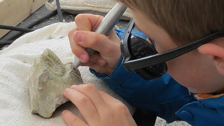 Beim Präparieren von Fossilien mit einem Druckluftstichel waren die jungen Gäste voll dabei. Foto: Doris Bauer