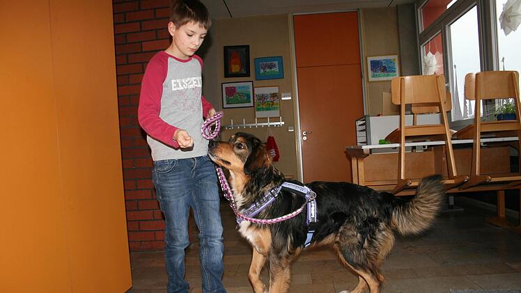 Robin f&uuml;hrt am Tag der offenen T&uuml;r einen der Schulhunde durch die Aula der Montessori-Schule Mitwitz. privat