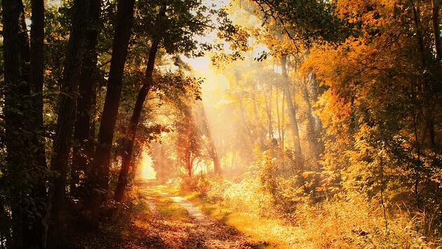 Herbst, Goldener Oktober, Wetter