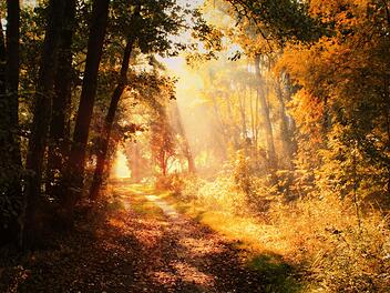 Herbst, Goldener Oktober, Wetter