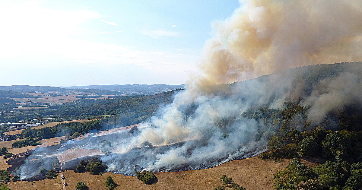 Forest fire near Waldaschaff: Fire department in major operation - | ...
