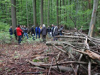 Direkt vor Ort diskutierten Förster, Gemeinderäte und Bürger darüber, ob nicht wieder mehr so genannte Lose vergeben werden sollten, um herumliegendes Holz besser zu nutzen.