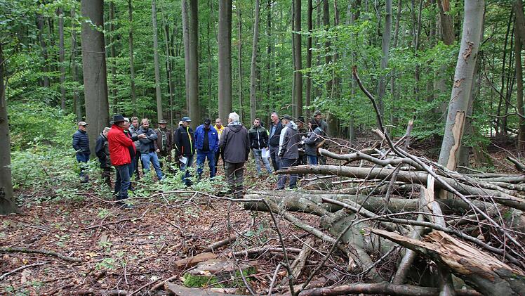 Direkt vor Ort diskutierten Förster, Gemeinderäte und Bürger darüber, ob nicht wieder mehr so genannte Lose vergeben werden sollten, um herumliegendes Holz besser zu nutzen.