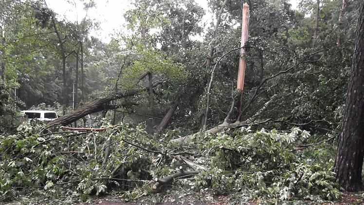 Foto: Gartenamt Bamberg