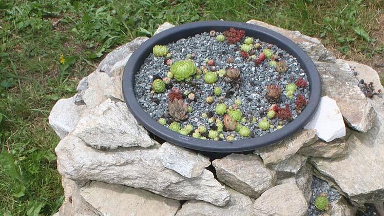 Selbst aus Bruchsteinen l&auml;sst sich etwas Sch&ouml;nes zaubern.