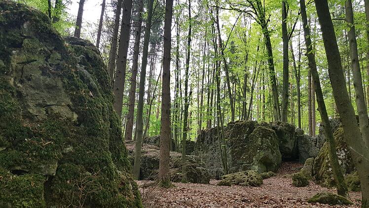 Der Druidenhain Foto: Ronald Heck