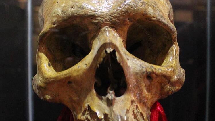 "Hexen, Werwölfe und Untote" in Kulmbach Foto: Jürgen Gärtner