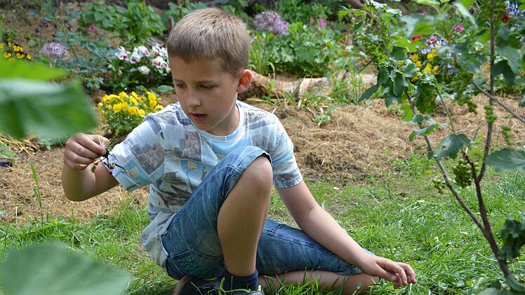 Vor den Ferien bringen die Grundschüler noch einmal ihre Beete in Schuss. Foto: Dagmar Besand