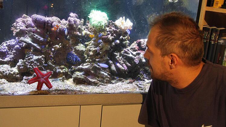 Das Aquarium, das Heiko Günther so sehr liebte, war komplett zerstört. Foto: Sonny Adam