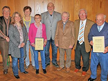 Ehrungen standen beim TSV Maßbach an: (von links) Horst Bub (65 Jahre Mitglied), Vorsitzende Anita Oeser-Geyer, Irene Weiss (60), das neue Ehrenmitglied Christa Thain-Wehner, Helmut Knieß (25), Heinz Röder (70), Günther Endriß (65) und Siegfried Oeser (70).  Foto: Dieter Britz